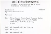 小菇屬藏品圖，第2張