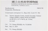 登錄號:F0038700藏品圖，第2張