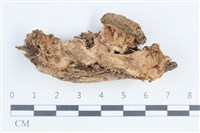 登錄號:F0038700藏品圖，第1張