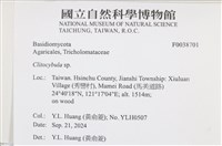 登錄號:F0038701藏品圖，第2張