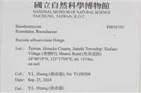 登錄號:F0038702藏品圖，第2張