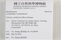 登錄號:F0038703藏品圖，第2張