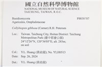 登錄號:F0038707藏品圖，第2張