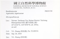 登錄號:F0038709藏品圖，第2張