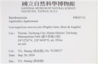 登錄號:F0038710藏品圖，第2張