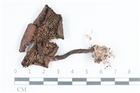 登錄號:F0038710藏品圖，第3張