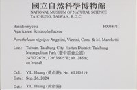 登錄號:F0038711藏品圖，第2張