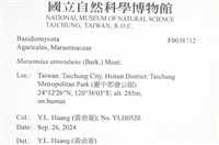 登錄號:F0038712藏品圖，第2張