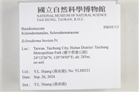 登錄號:F0038713藏品圖，第2張