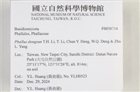 登錄號:F0038714藏品圖，第2張