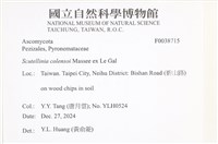 登錄號:F0038715藏品圖，第2張