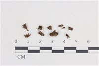 登錄號:F0038715藏品圖，第1張