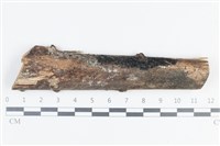 登錄號:F0038716藏品圖，第1張