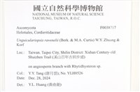 登錄號:F0038717藏品圖，第2張