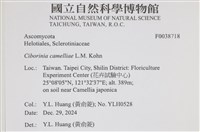 登錄號:F0038718藏品圖，第2張