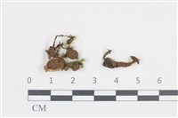 登錄號:F0038718藏品圖，第1張