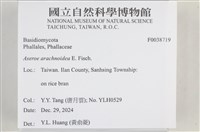 登錄號:F0038719藏品圖，第2張