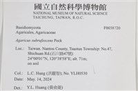 登錄號:F0038720藏品圖，第2張