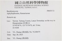 登錄號:F0038721藏品圖，第2張