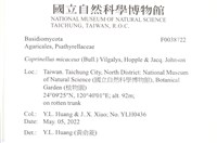 登錄號:F0038722藏品圖，第2張