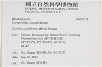 登錄號:F0038723藏品圖，第2張