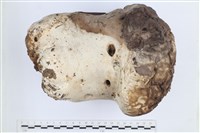 登錄號:F0038723藏品圖，第1張