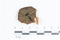 登錄號:F0038724藏品圖，第1張