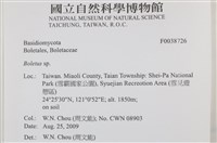 登錄號:F0038726藏品圖，第2張