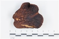 登錄號:F0038726藏品圖，第1張