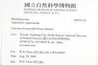 Accession Number:F0038728 Collection Image, Figure 2, Total 2 Figures