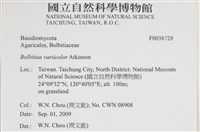 登錄號:F0038729藏品圖，第2張