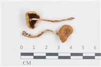 登錄號:F0038729藏品圖，第1張