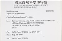 登錄號:F0038731藏品圖，第2張