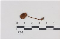 登錄號:F0038732藏品圖，第1張