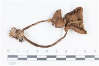 登錄號:F0038733藏品圖，第1張