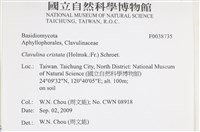 登錄號:F0038735藏品圖，第2張