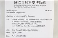 登錄號:F0038736藏品圖，第2張