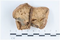 登錄號:F0038736藏品圖，第3張