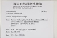 登錄號:F0038737藏品圖，第2張