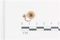 登錄號:F0038737藏品圖，第1張