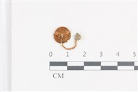 登錄號:F0038737藏品圖，第3張