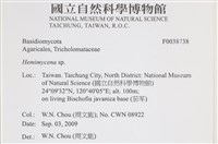 登錄號:F0038738藏品圖，第2張