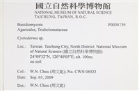 登錄號:F0038739藏品圖，第2張