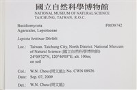 登錄號:F0038742藏品圖，第2張