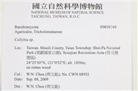 登錄號:F0038744藏品圖，第2張