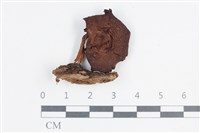 登錄號:F0038744藏品圖，第1張