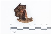 登錄號:F0038744藏品圖，第3張