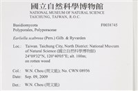 登錄號:F0038745藏品圖，第2張