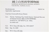 Accession Number:F0038746 Collection Image, Figure 2, Total 3 Figures