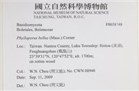 登錄號:F0038748藏品圖，第2張